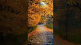 rain sounds for sleeping #shorts #relaxing #nature #viral