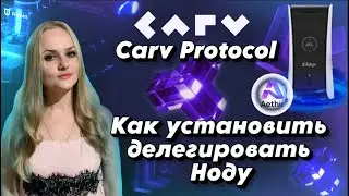 CARV PROTOCOL, КАК УСТАНОВИТЬ, Делегировать НОДУ Carv Protocol, Aethir Edge Node