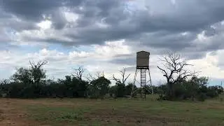 Pasture views Labor Day 2022 after a good rain …..