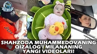 Шаҳзода Муҳаммедованинг қизалоғи Милананинг янги видеолари!