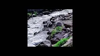 Beauty Of Pakistan🇵🇰 #travel #pakistan #nothernpakistan #travelvlog #beauty #nature #vlog #trending