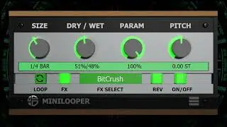Mini Looper