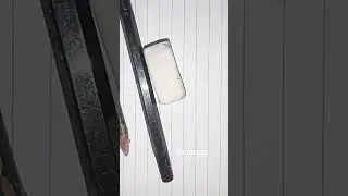 ikutan trend sticman
