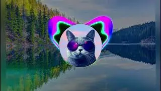 Kamelia-Amor(Bass boosted)