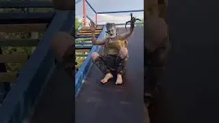 Ha ha ha 