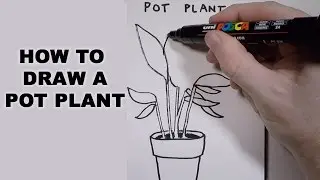 How to Draw a Pot Plant