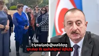 «Էկոակտիվիստները» գումար են պահանջում Ալիևից