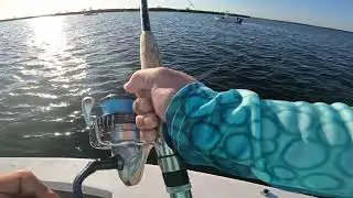 Valhallasent17 hooks into a monster Tarpon pt3