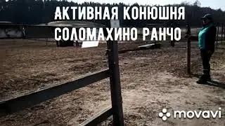 Активная конюшня. Соломахино Ранчо.