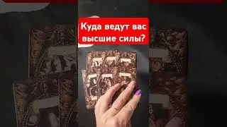 Куда ведут вас высшие силы?#таро #taro #гадание #mara #tarotube #маратаро #таролог #раскладтаро#мара