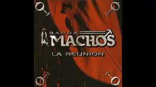 Banda Machos ME LLAMO RAQUEL