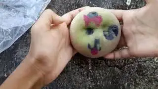 Bella Squishy Collection