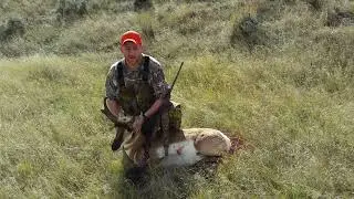 Pronghorn Antelope WY Public Land