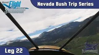 Microsoft Flight Simulator 2020 - Nevada Bush Trip - Leg 22