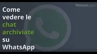 Come vedere le chat archiviate su WhatsApp