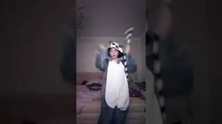 даже енот этот тренд танцует