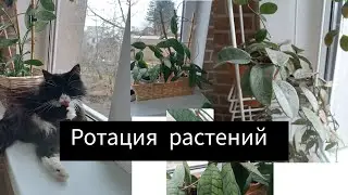 ротация растений