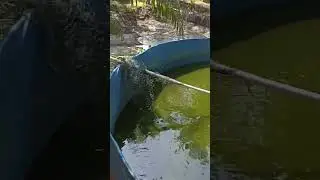 ini lebih penting!