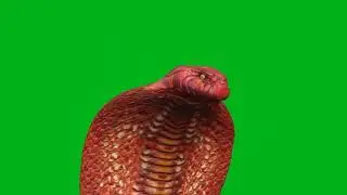 Bani-nageshvari Snake Animation version QHD channel ||