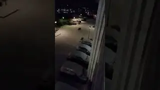 danmarkadan yeni yiln kari