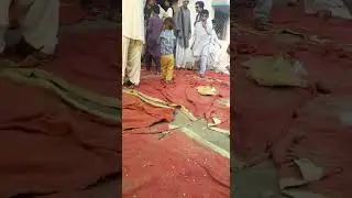 Sahdi program babi dans 2021
