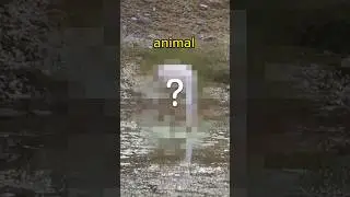 Couldn't Believe this was Here!
