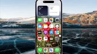 How to reset Auto download settings in WhatsApp in iPhone 14 Pro