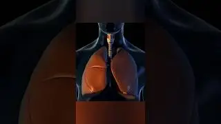 Iron Lung EXPLAINED