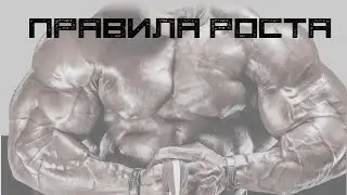 Правила роста. Азы бодибилдинга