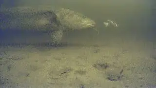 И ТУТ Я ОХ*
