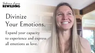 Understanding Your Emotions as Guides & Gifts (the Secret to Lasting Fulfillment) - Sabrina Lynn
