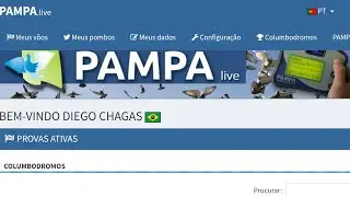 Primeiro teste com o Pampa Live