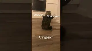 Как дела? #теормех #сопромат  сдал?