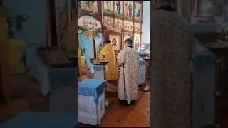 «Многолетие»
