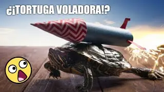 7 Formas Más Tontas De M0R1R