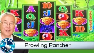 Prowling Panther Slot Machine Bonus