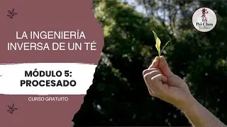 Curso Gratuito 'La Ingeniería Inversa de un Té