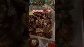 Ужин с семьей! Шашлыки Уха #ужиндлявсейсемьи