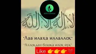 Hojiga boruvchilar #islomuz