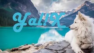 Yal!x: Best Collection. Beautiful Chill Mix