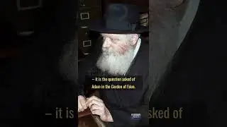 I Asked The Rebbe: Where Are YOU Holding?