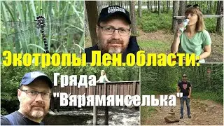 Гряда Вярямянселька / Экотропы Ленинградской области.