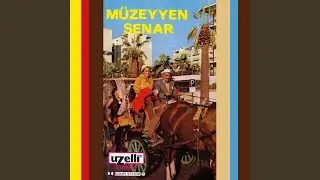 Anar Ömrümce Gönül