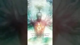 Seek from Within   
