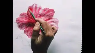 Water Color For Beginners/how to color hibiscus 🌺.