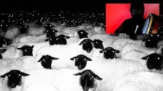 🎶 Ça peut pas être des conneries - DEFAKATOR