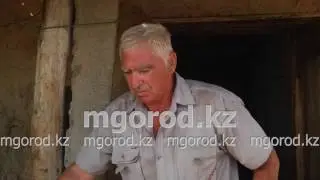 больной скот