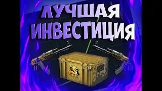 ДИКИЙ РОСТ КЕЙСА 