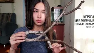 Как варить корягу для аквариума