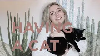 80. Having A Cat